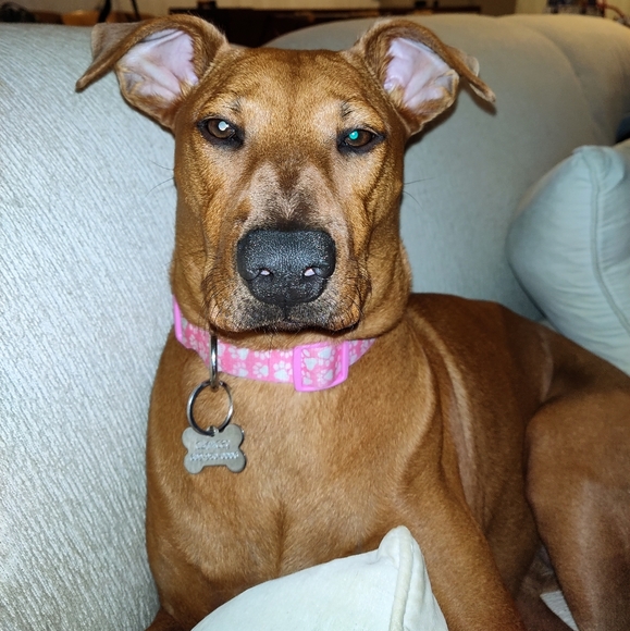 Meet your Posher, Danielle - Picture 15 of 16